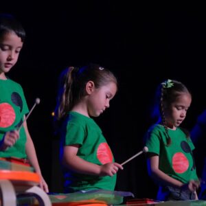 FESTIVAL MUSICAEDUCA 2026-6